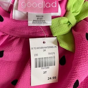 Goodlad Pink and Green Watermelon Dress
